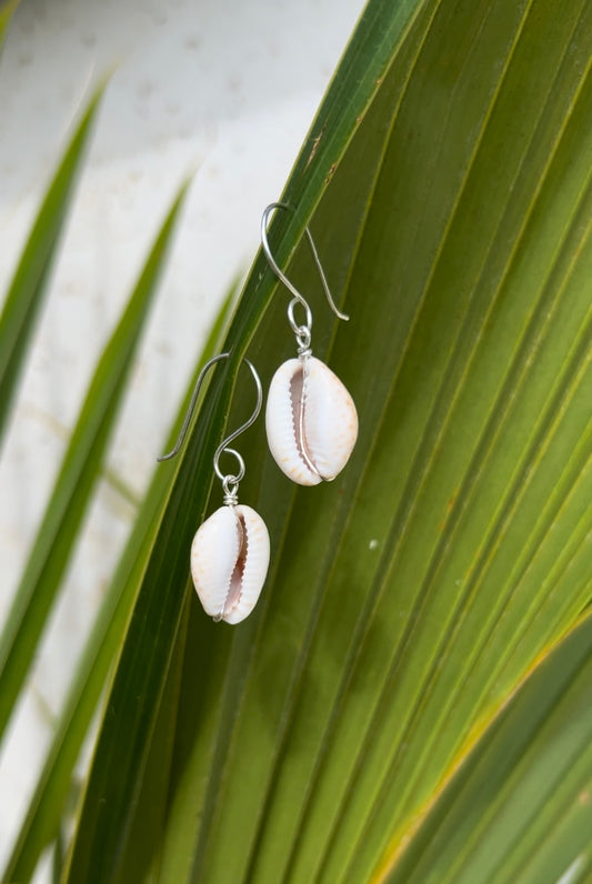 Purple Cowry Earrings 14k Gold Filled & Sterling Silver