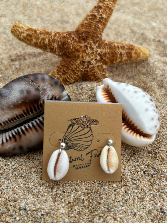 Cowry Stud Earring                     14k Gold Filled & Sterling Silver