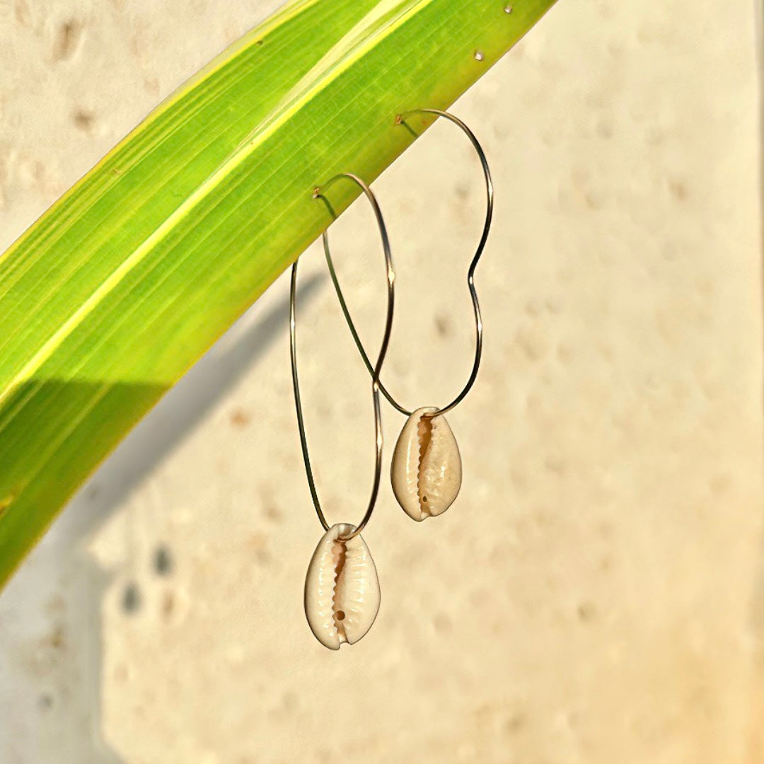 Selling Cowrie Shell Hoops/14k Gold Filled