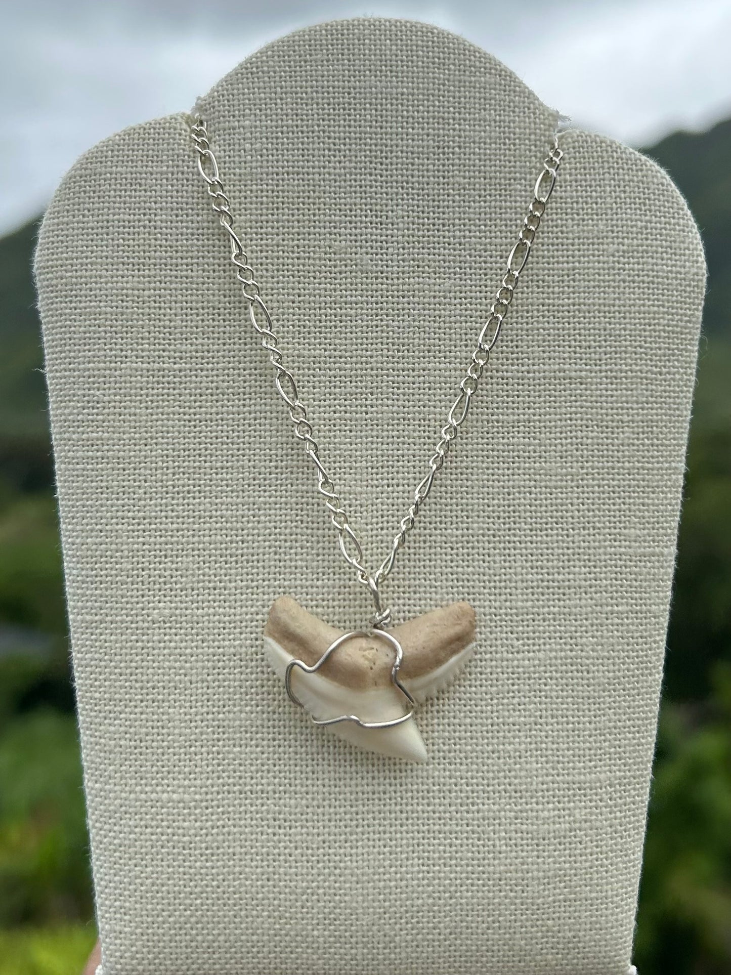 Shark Tooth Necklace                        Sterling Silver