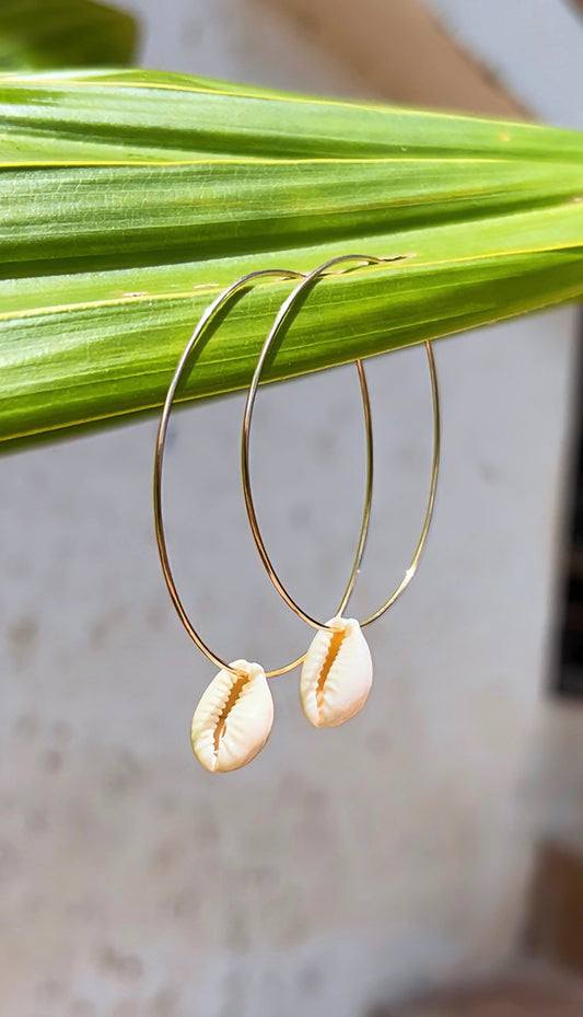 2” Cowry Hoops                           14K Gold Filled & Sterling Silver