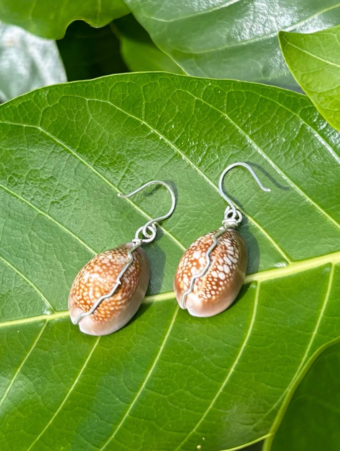 Cowry Earring Natural Brown       14k Gold Filled & Sterling Silver