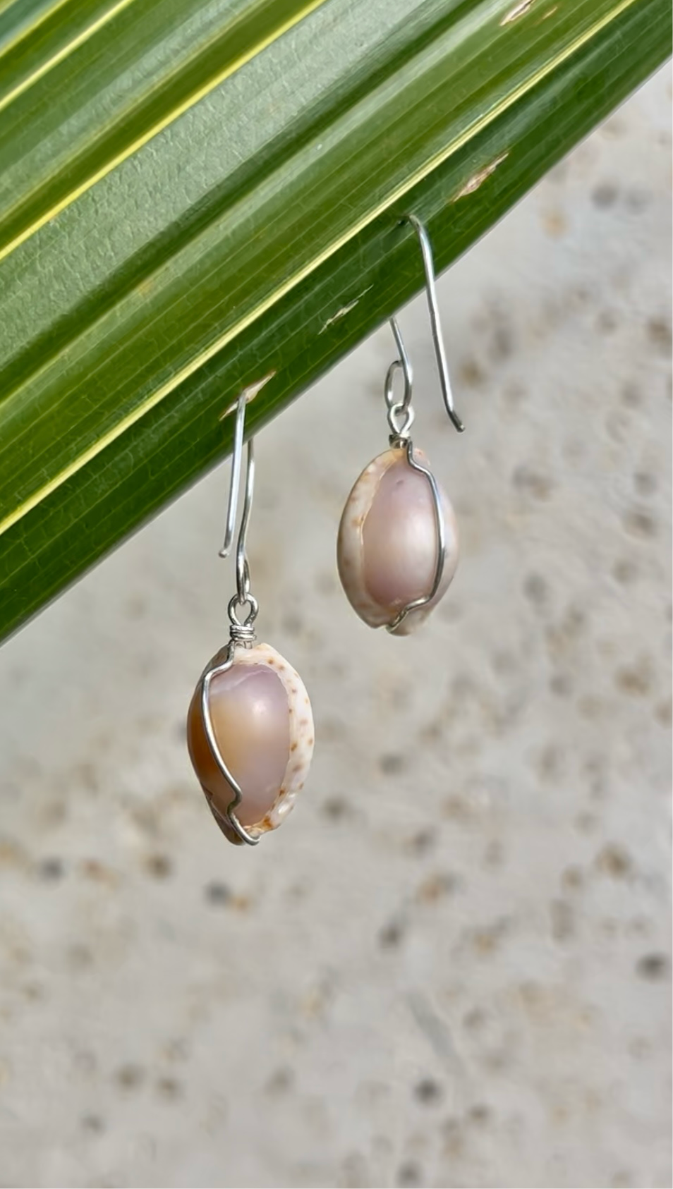 1” Purple Cowry Earrings                     14k Gold Filled & Sterling Silver
