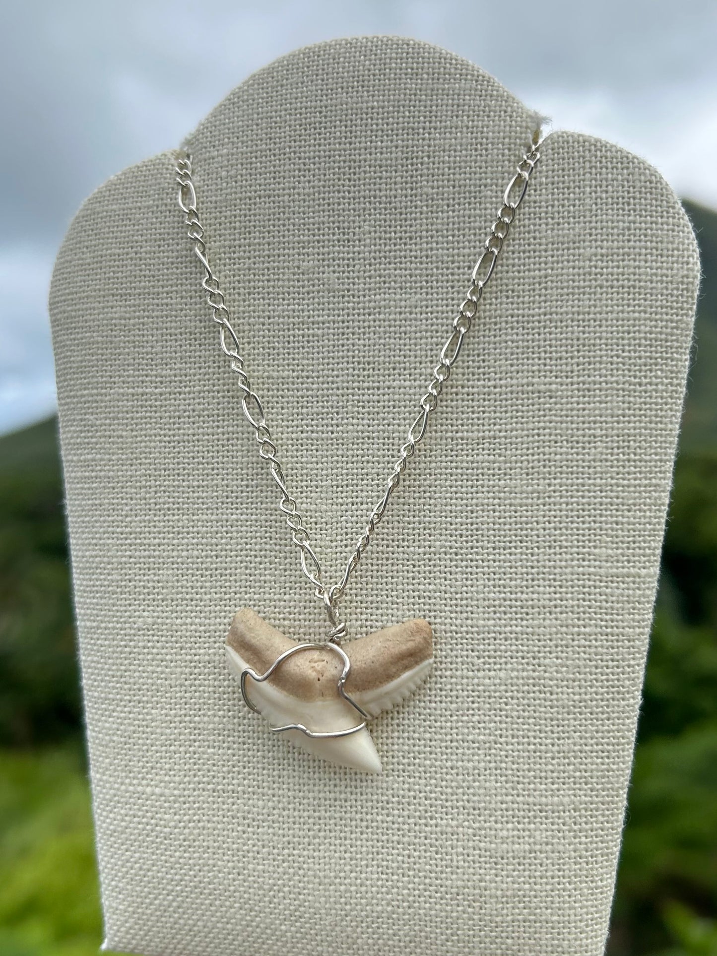 Shark Tooth Necklace                        Sterling Silver