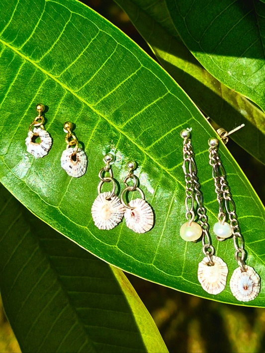 .5" Dainty Stud Earrings| 'Opihi 'Awa | 14k Gold Filled & Sterling Silver