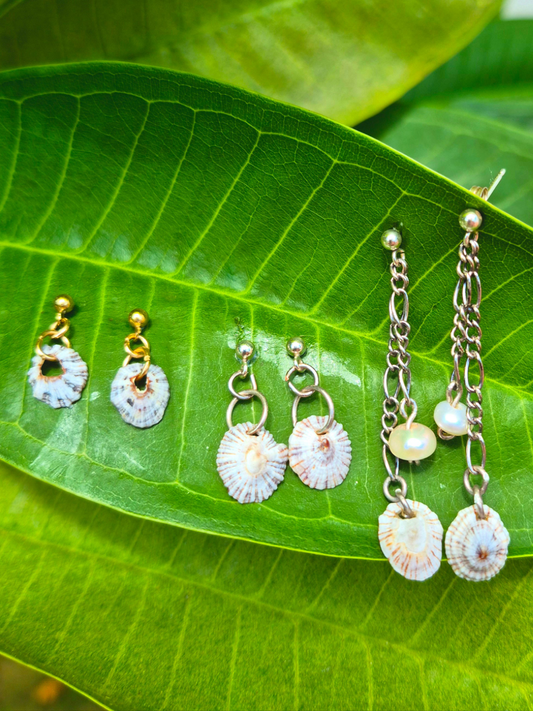 .5" Dainty Stud Earrings| 'Opihi 'Awa | 14k Gold Filled & Sterling Silver