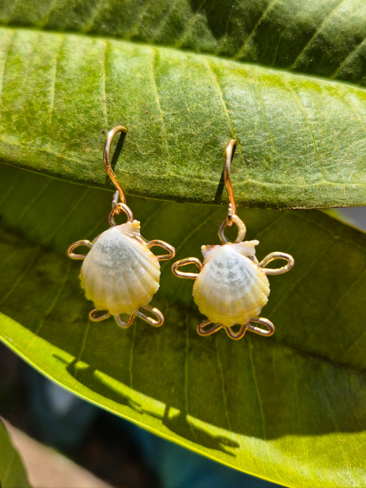 2 Pairs | Earrings Honu Turtle Sunrise Shell | 14k Gold Filled