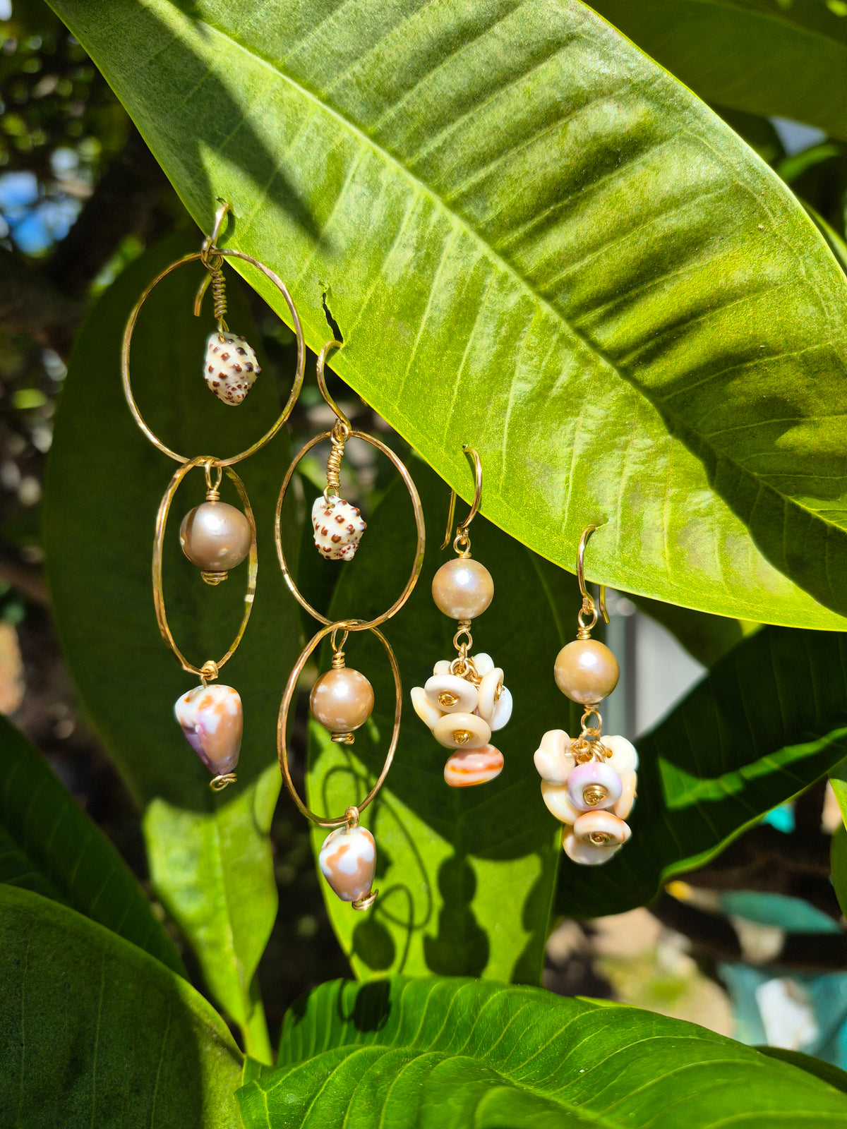 1.5" Tahitian Pearl Earrings w/ Kahelelani or Puka Shell | 14k Gold Filled & Sterling Silver