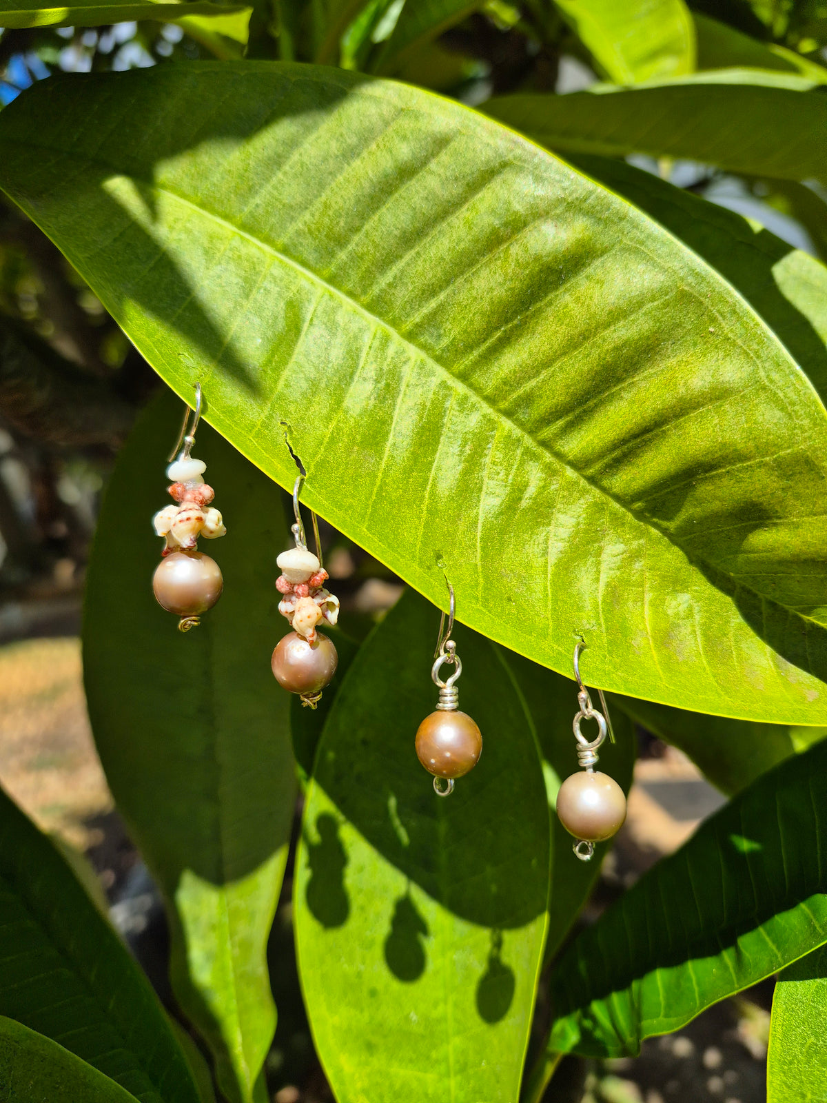 1.5" Tahitian Pearl Earrings w/ Kahelelani or Puka Shell | 14k Gold Filled & Sterling Silver