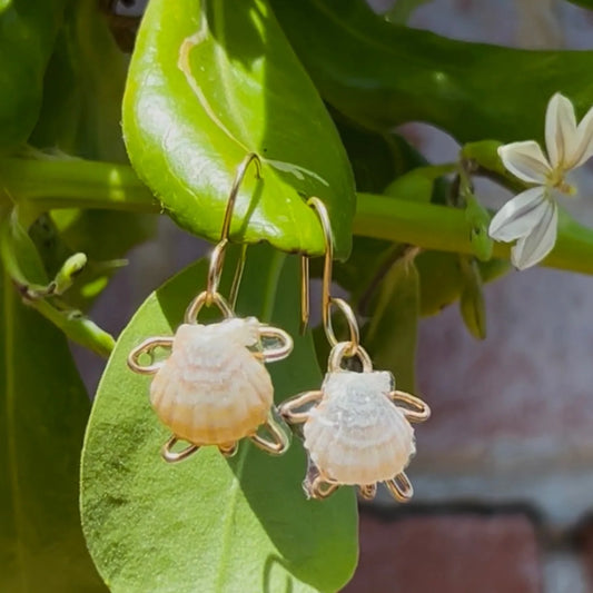 2 Pairs | Earrings Honu Turtle Sunrise Shell | 14k Gold Filled