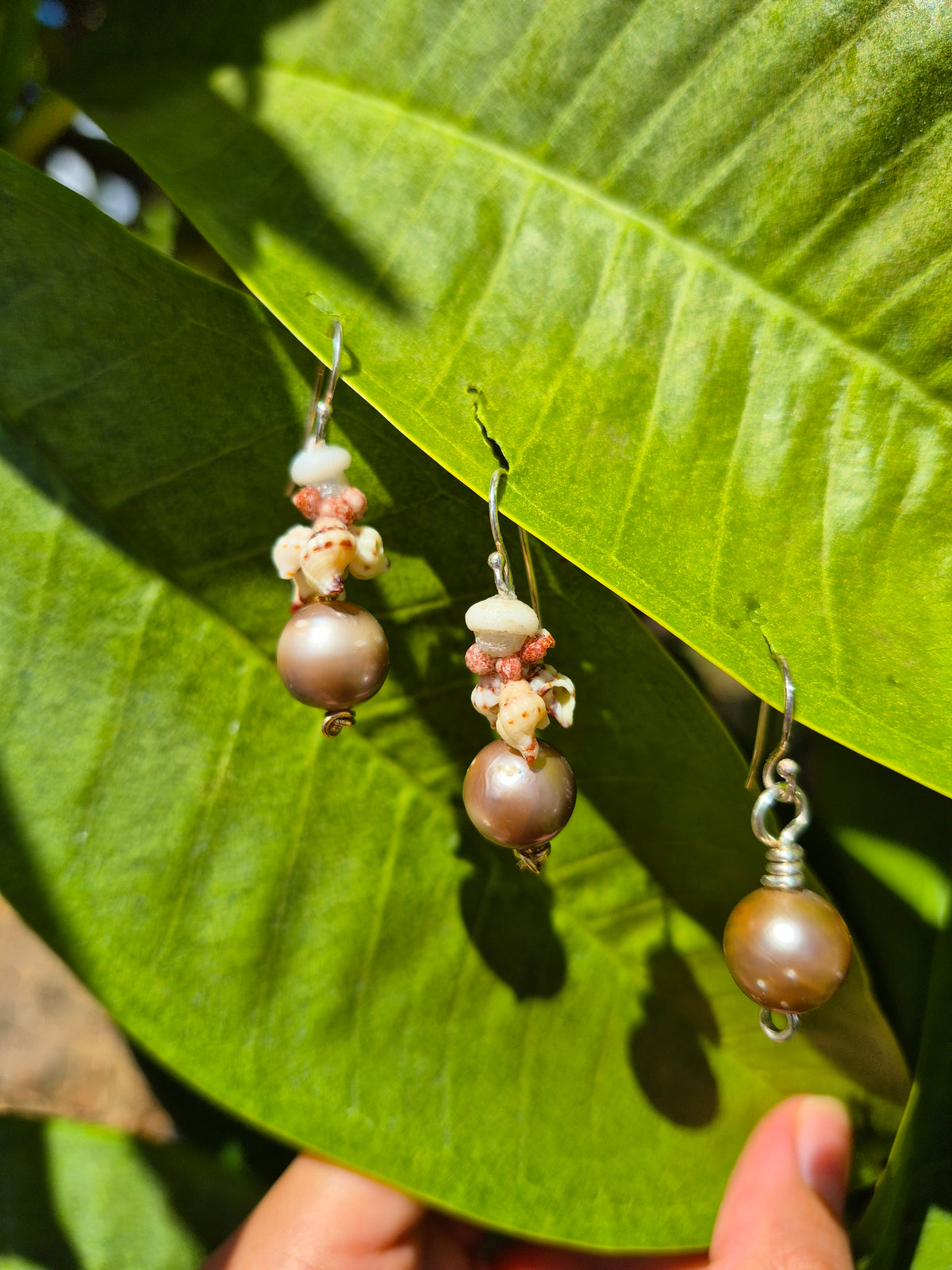 1.5" Tahitian Pearl Earrings w/ Kahelelani or Puka Shell | 14k Gold Filled & Sterling Silver